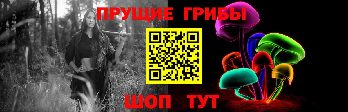 Ахтубинск  Галлюциногенные грибы Cubensis  Вход с VPN  Псилоцибиновые грибы ЛСД 