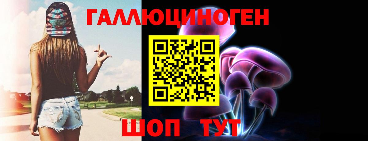 Галлюциногенные грибы GOLDEN TEACHER Ахтубинск